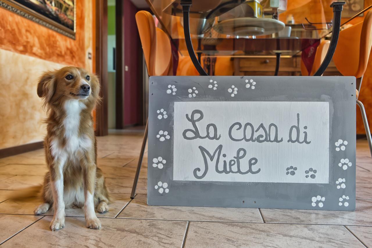 La Casa Di Miele Bed and Breakfast Marcignago Εξωτερικό φωτογραφία